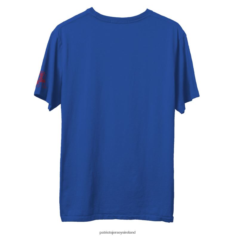 Patriots Jersey Men Junk Food Royal Marvel T-Shirt 8226D1953 Clothing